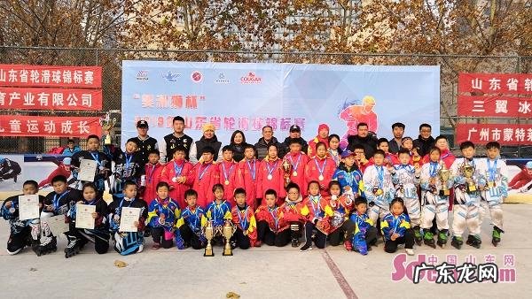 美洲狮轮滑鞋套装 美洲狮轮滑鞋