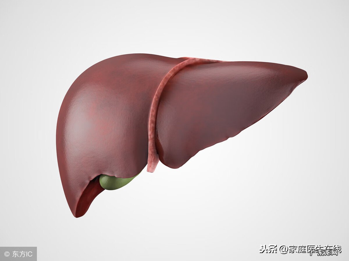 多发肝囊肿的原因 肝脏多发性囊肿是怎么回事