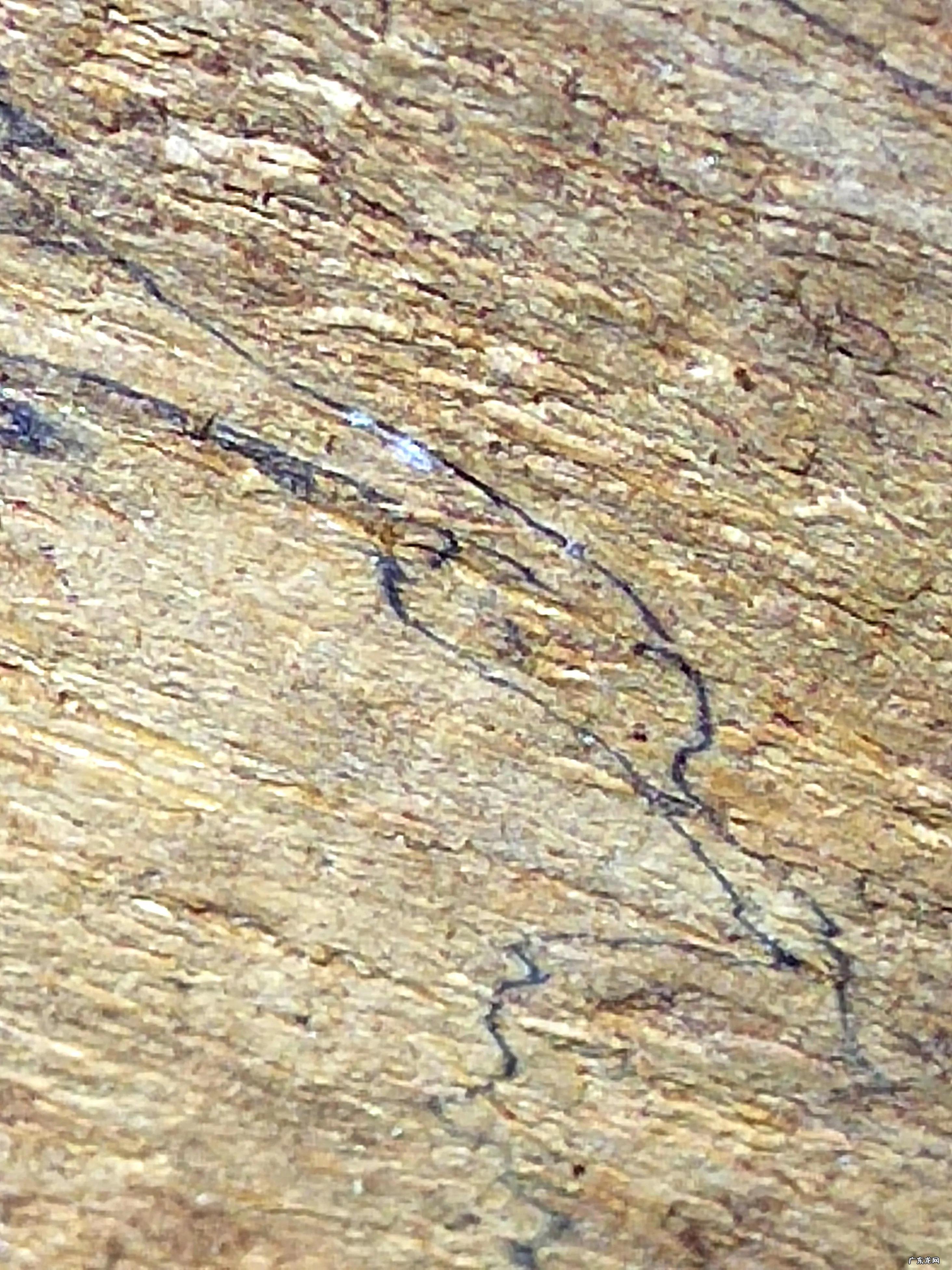 紫奇楠沉香的特点 紫奇楠沉香手串