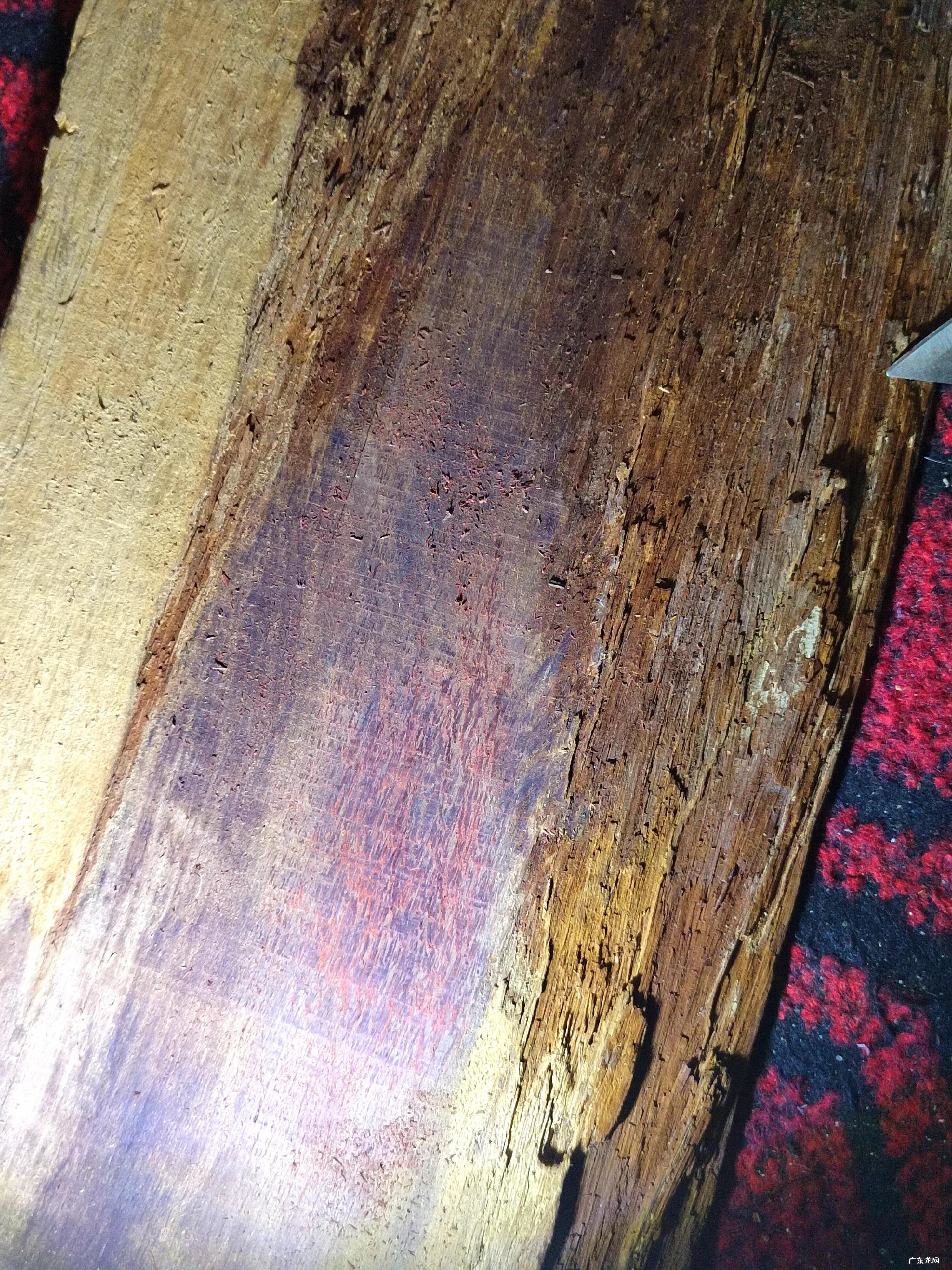 紫奇楠沉香的特点 紫奇楠沉香手串