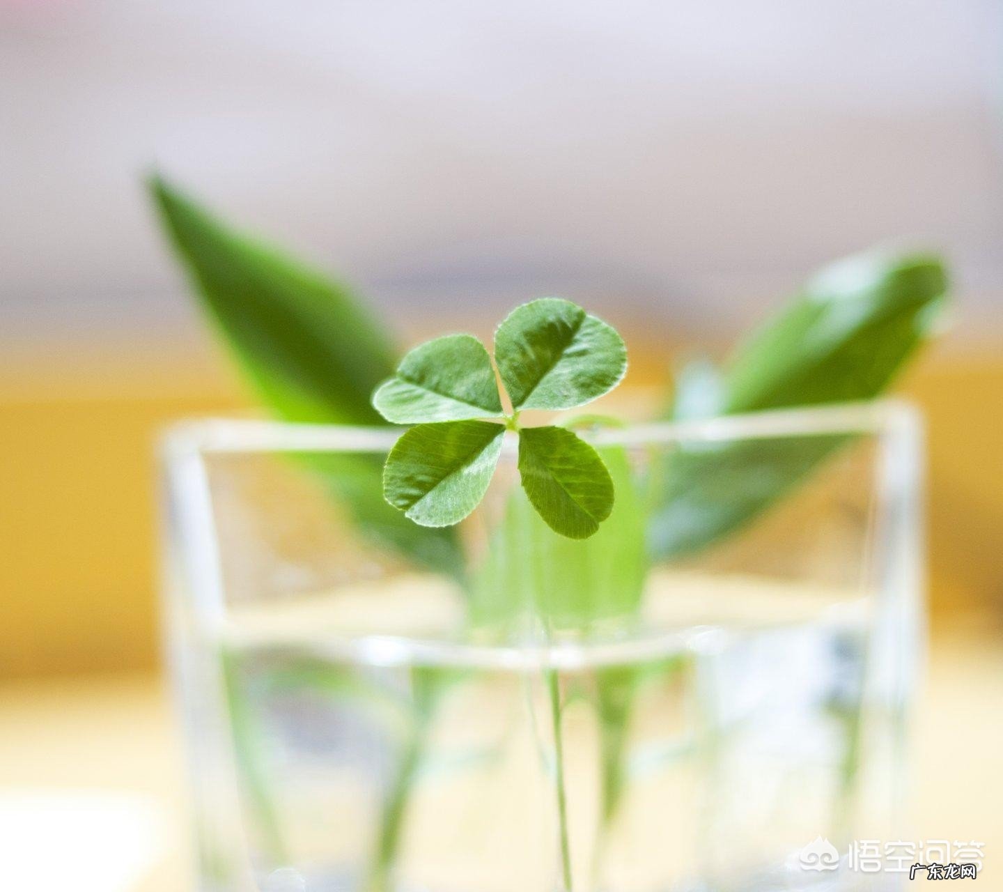 哺乳期吃奶粉补钙好吗?