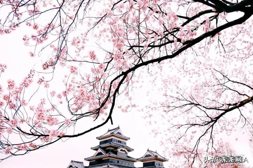 描写景物的排比句子大全 描写景物的排比句子大全