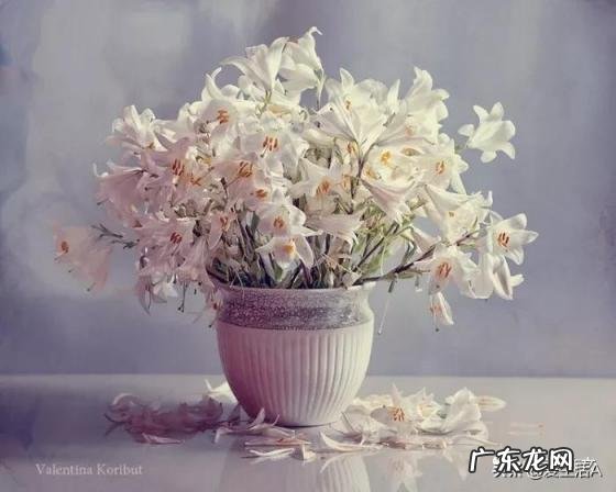 描写景物的排比句子大全 描写景物的排比句子大全