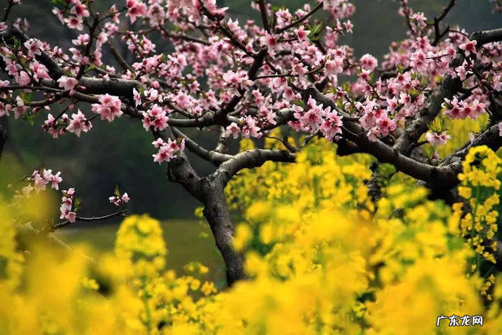 五岔路口风水 永安里路口风水