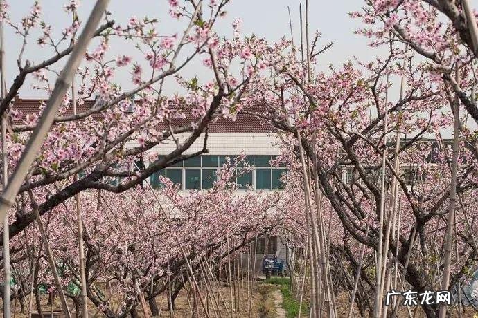 五岔路口风水 永安里路口风水