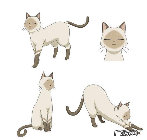 任性highspec oc 任性HighSpec