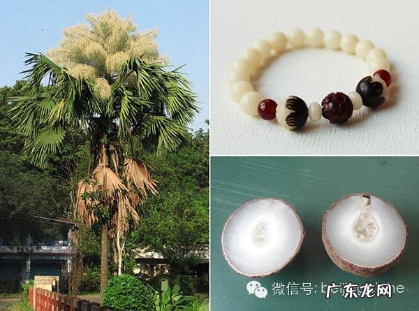菩提子手串种类 菩提子手串有什么寓意与功效