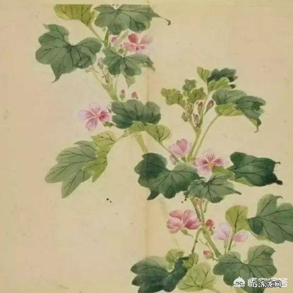 《诗经》中关于爱情的诗句,你最喜欢哪一句?为什么?