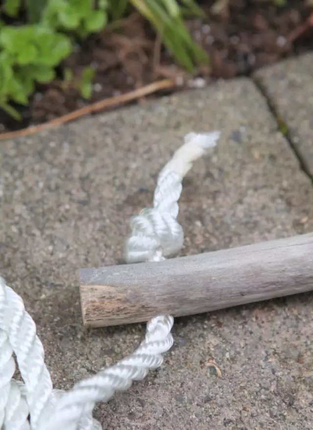 枯木摆件象征着什么 枯木技挂墙艺术