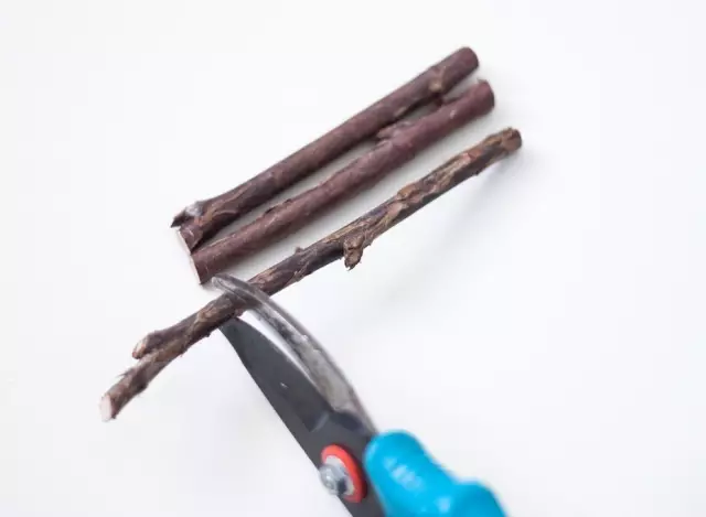 枯木摆件象征着什么 枯木技挂墙艺术