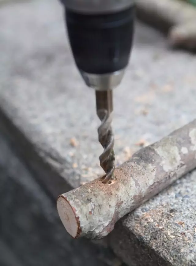 枯木摆件象征着什么 枯木技挂墙艺术