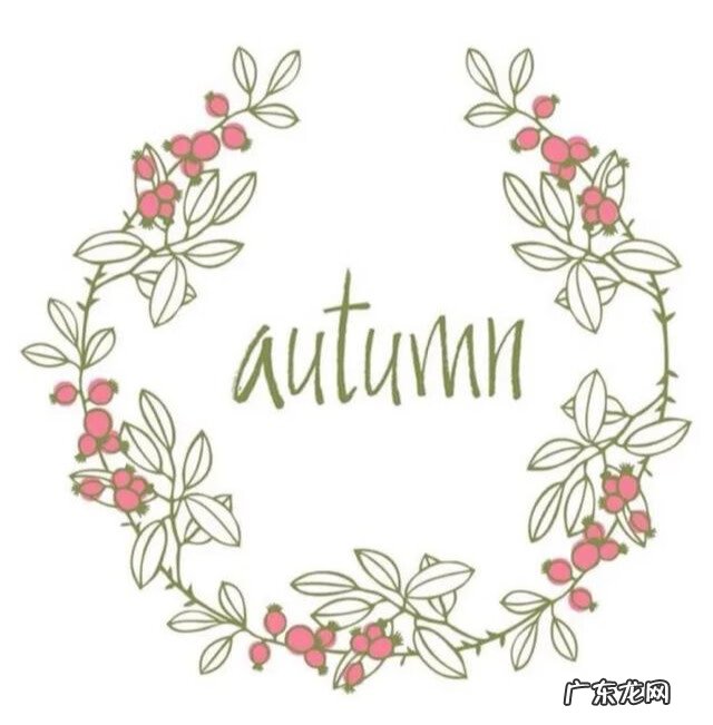 简单好看衍纸教程图解 衍纸画教程初学者图片