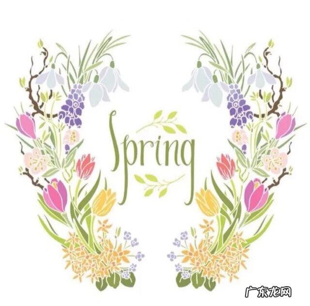 简单好看衍纸教程图解 衍纸画教程初学者图片