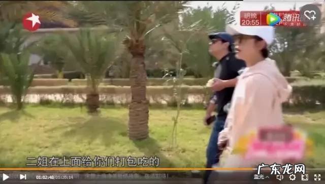 袁弘张歆艺和华晨宇 张歆艺和袁弘是什么关系