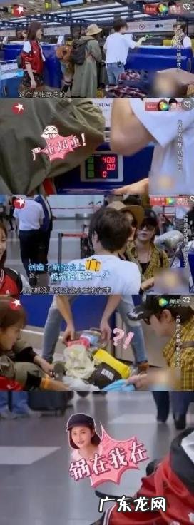 袁弘张歆艺和华晨宇 张歆艺和袁弘是什么关系