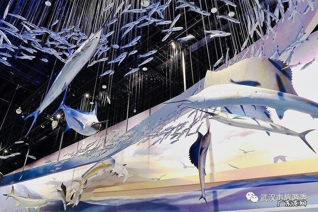 风水三宝是什么 武汉三宝风水楼