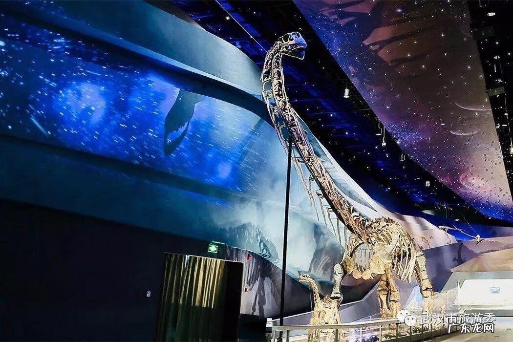 风水三宝是什么 武汉三宝风水楼