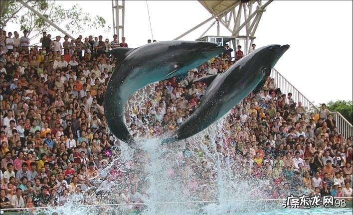 南宁现在有什么新的好玩地方?