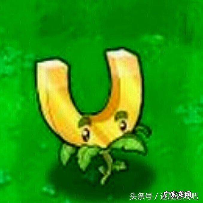 植物大战僵尸原版商店 植物大战僵尸商店买什么