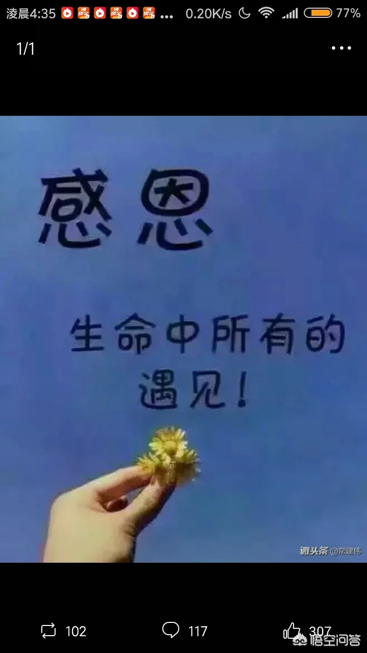 孕妇怀孕期间该吃什么,不应该吃什么?