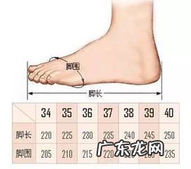 38是不是240鞋码 韩版鞋码240是多少码