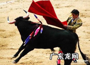 斗牛常用技巧教程 斗牛技巧解析现实