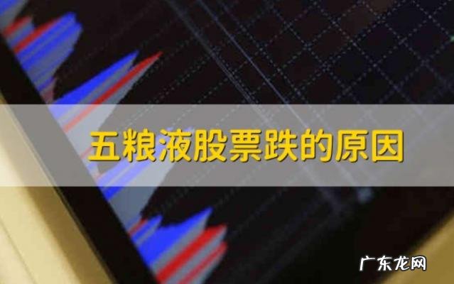 2021五粮液股票为什么天天跌 五粮液股票还能买吗