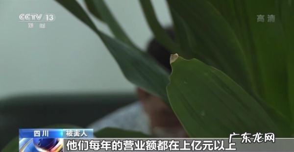 河北疯婆婆预言2021年视频 河北疯婆婆预言2022年