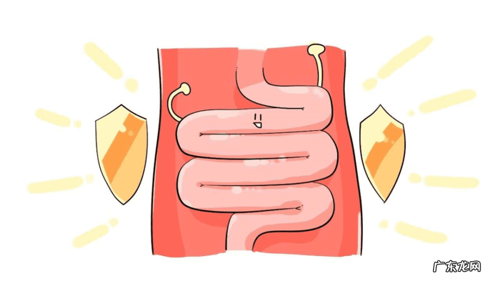 喝鲜奶好还是喝酸奶好 纯牛奶好还是酸奶好?