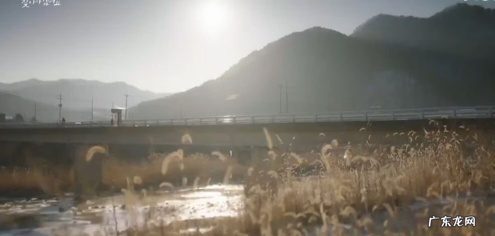 我好想你啊韩语 我好想你啊韩语怎么说