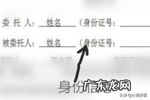 委托书怎么写范文？