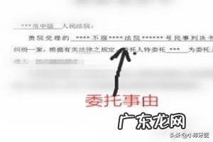 委托书怎么写范文？
