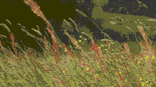 雅诗兰黛官网正品查询 雅诗兰黛官网店正品查询