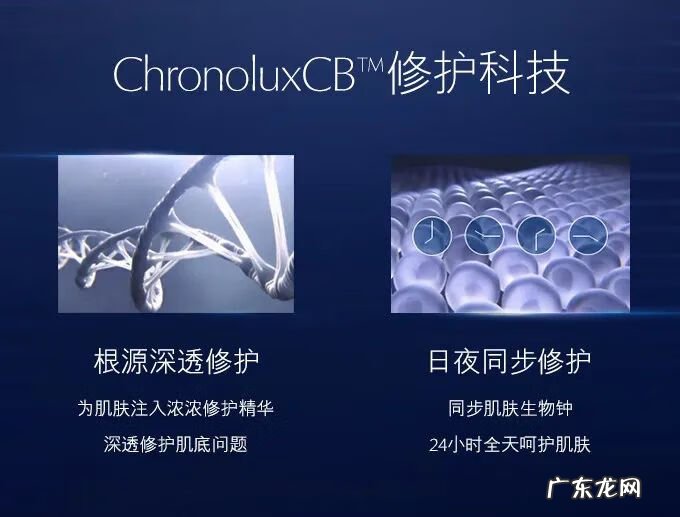 雅诗兰黛官网正品查询 雅诗兰黛官网店正品查询