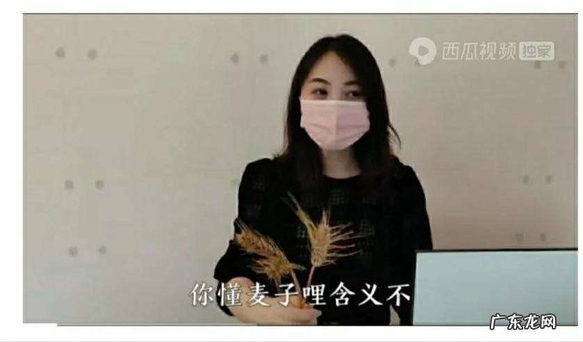 99977的含义是什么 99977是什么含义