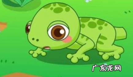 家里壁虎怎么驱赶 家里壁虎怎么驱赶家里进壁虎怎么办