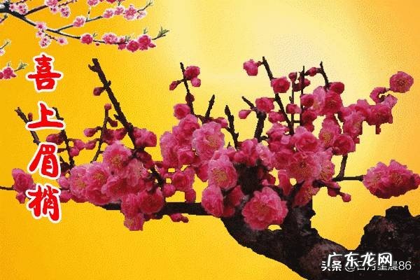 俗话说恶有恶报，善有善报，善良的人就一定会有善报吗？