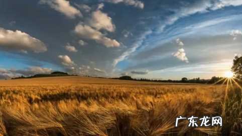 河南的冬天什么时候会冷 2022河南冬天是湿冷还是干冷呢