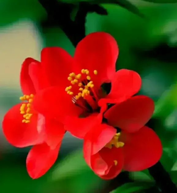 在头条的幸福感觉是什么?