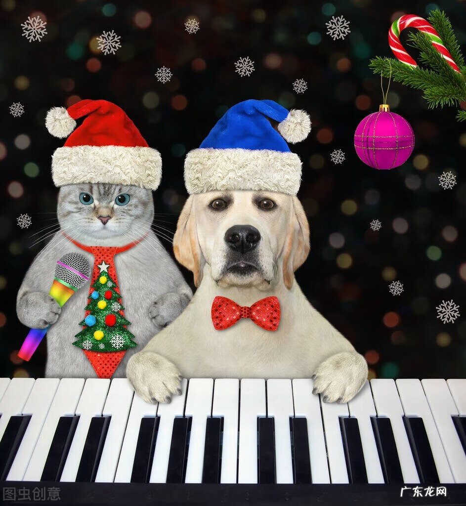 英语小故事简短 英语小作文介绍自己