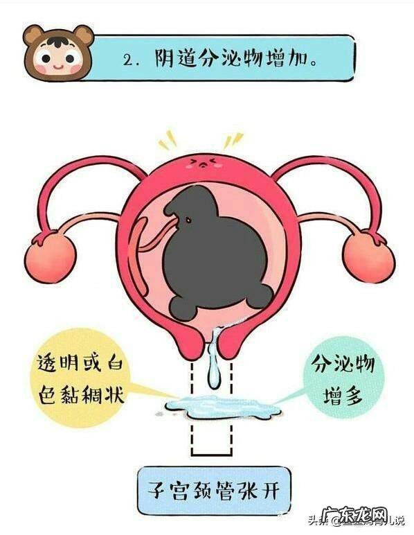 产前一周有什么预兆?正常的表现是怎样的?