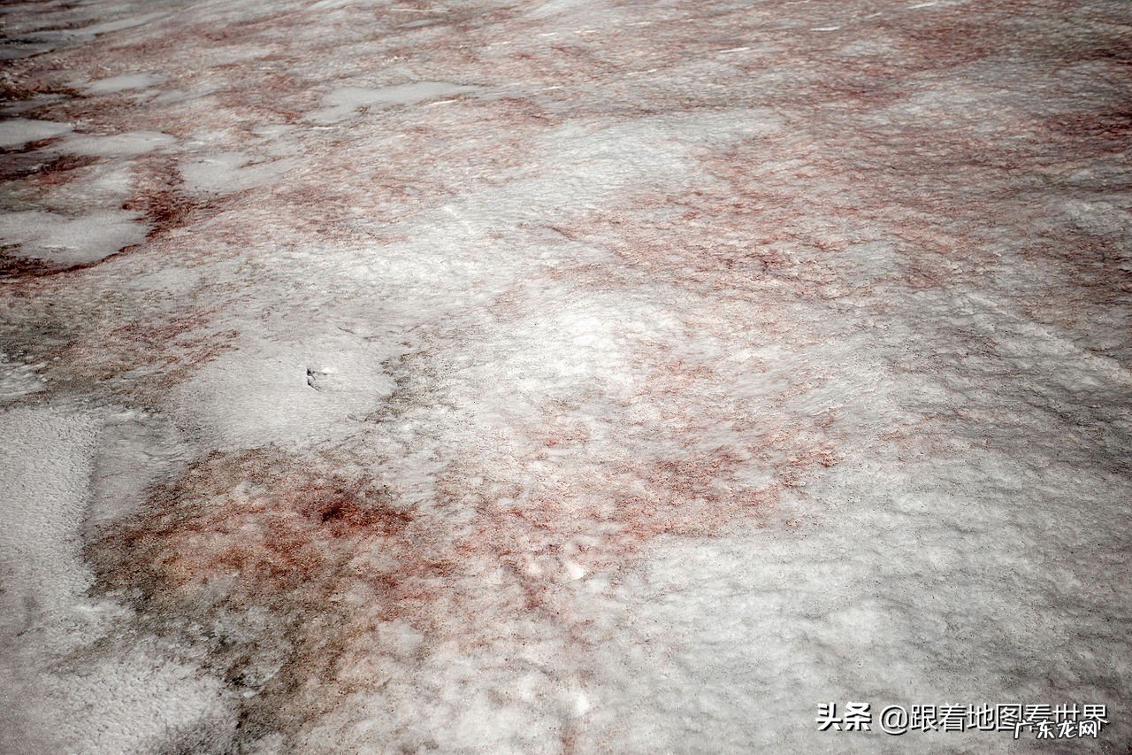 如果冰山都融化了会怎样?