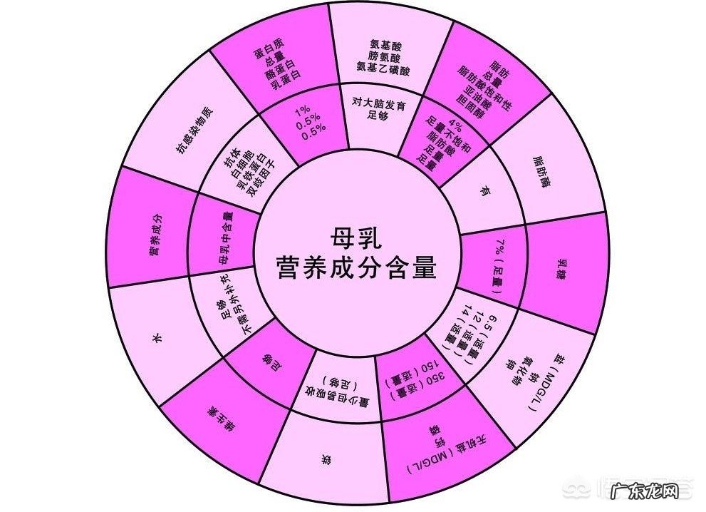 宝宝吃什么食物营养高？
