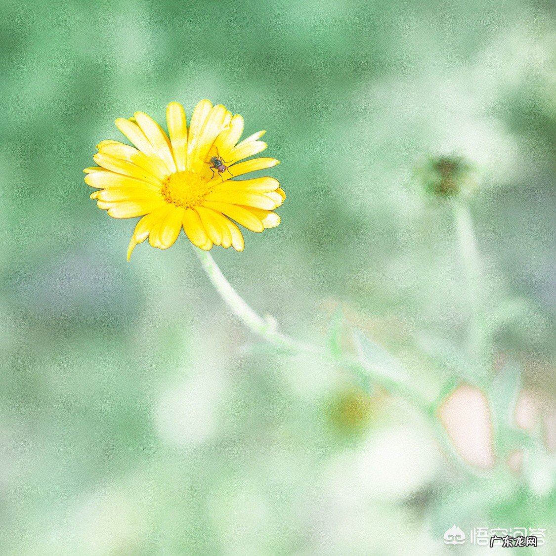 女朋友平静的说分手，还能挽回吗？