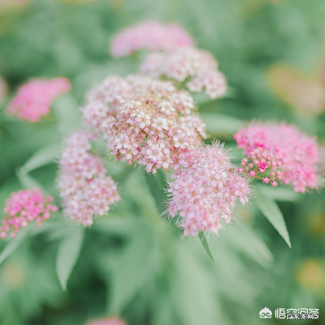 女朋友平静的说分手，还能挽回吗？