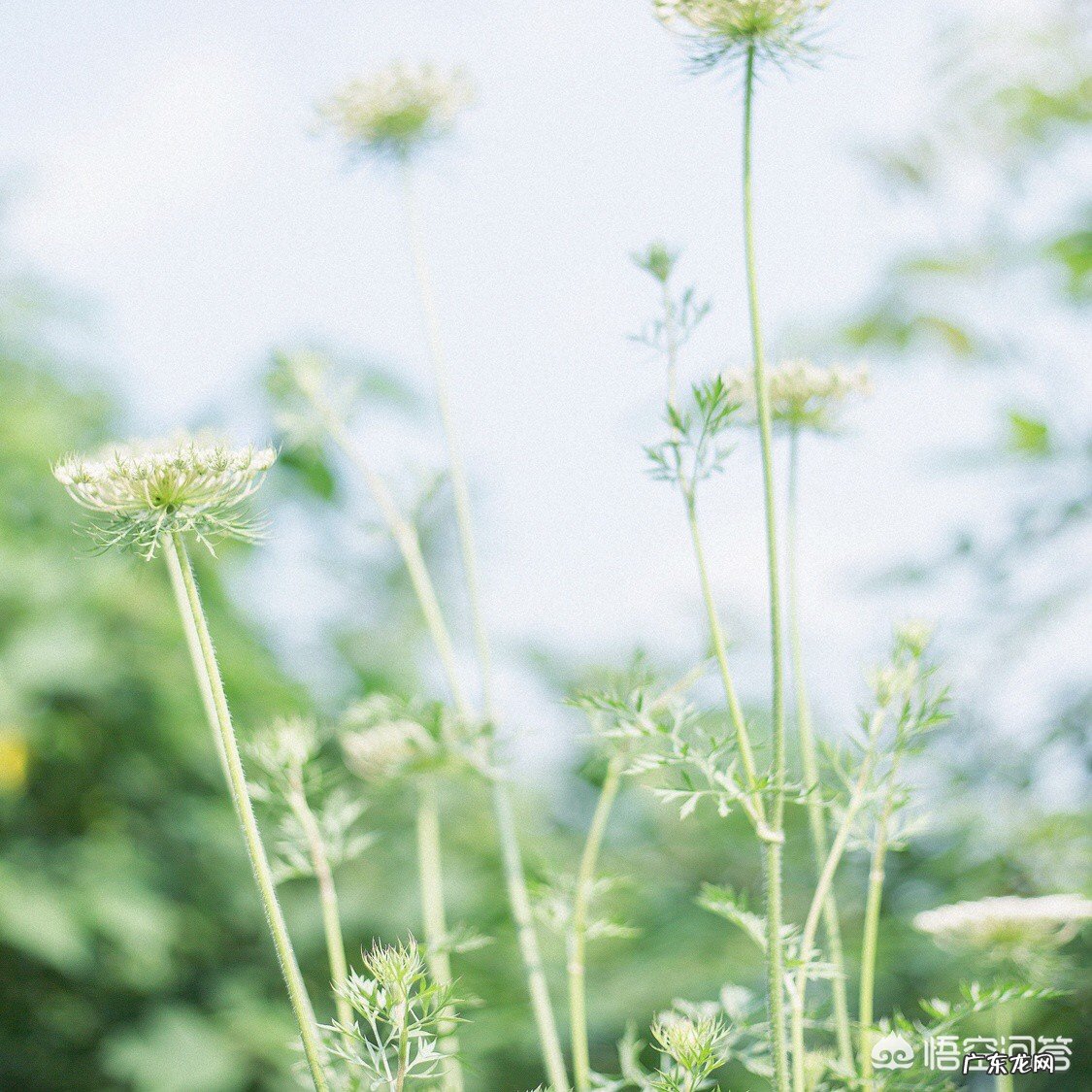 女朋友平静的说分手，还能挽回吗？