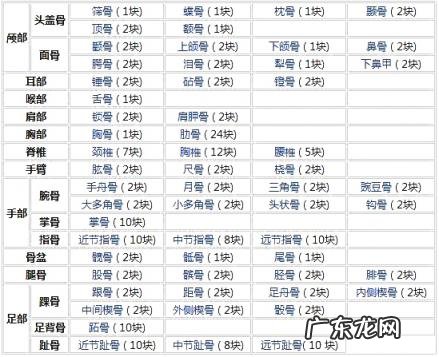人的骨头有多少块组成 人的骨头213块