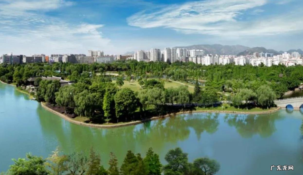 大量燕子聚集温州，密密麻麻天空盘旋，是灾难前兆还是自然现象？