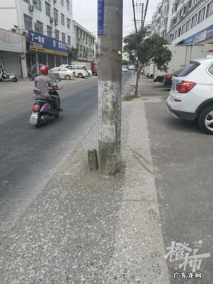 大量燕子聚集温州,密密麻麻天空盘旋,是灾难前兆还是自然现象?