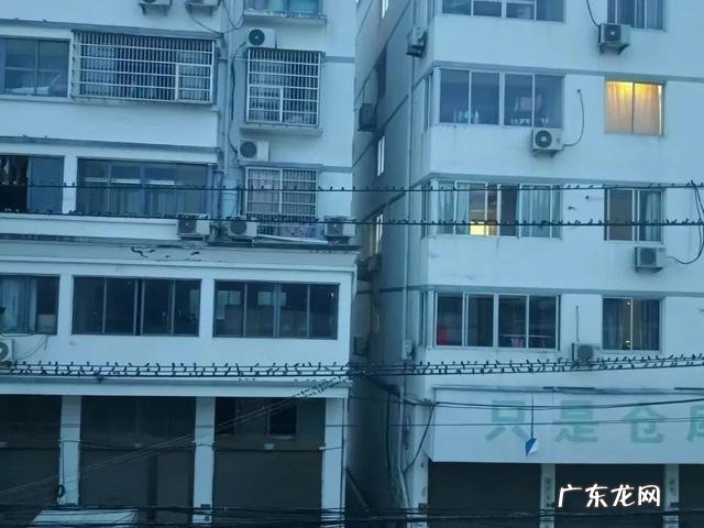 大量燕子聚集温州,密密麻麻天空盘旋,是灾难前兆还是自然现象?